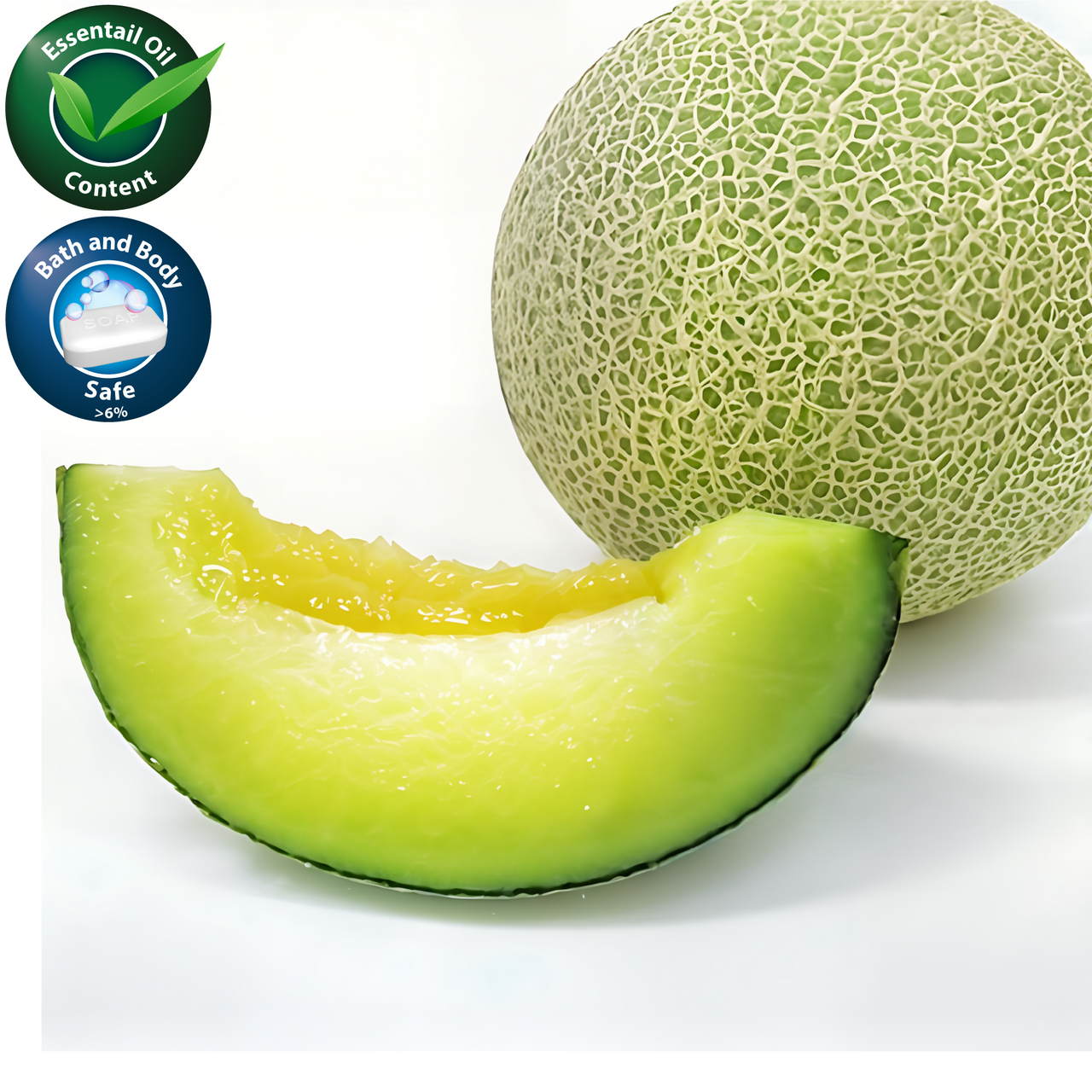 Car Diffusers - SUMMER EDITION